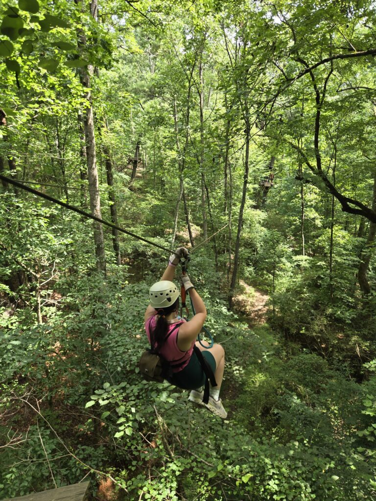 Zipline Banning Mills