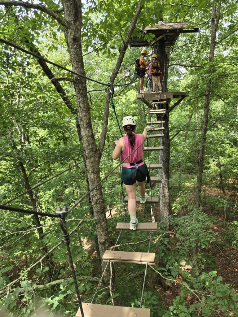 Zipline Banning Mills 2