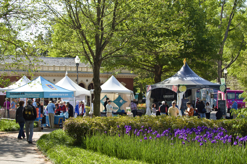 Atlanta Dogwood Festival - Explore Georgia