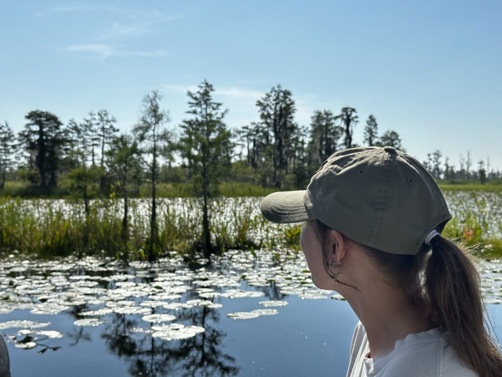 Okefenokee Swamp