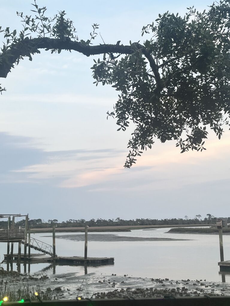 Savannah Water