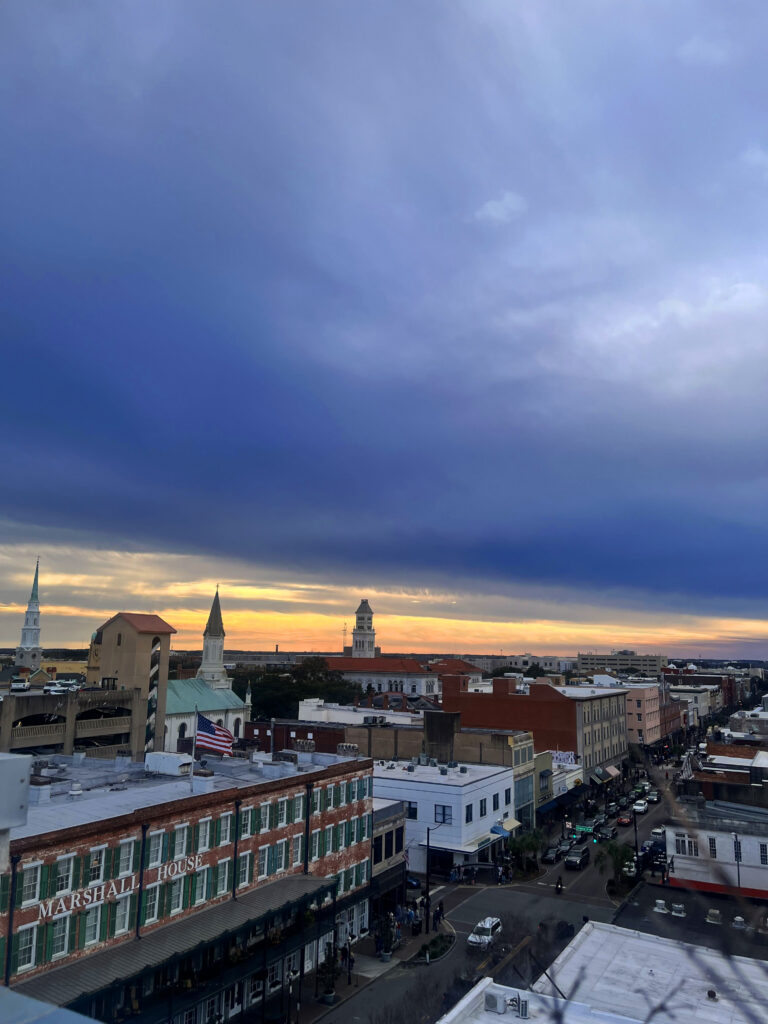 Savannah Skyline